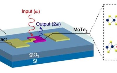 A strategy to directly modulate the second-order optical susceptibility of monolayer molybdenum ditelluride