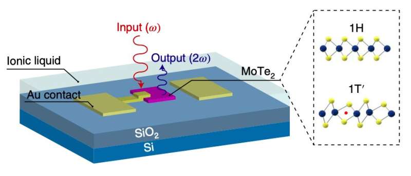 A strategy to directly modulate the second-order optical susceptibility of monolayer molybdenum ditelluride