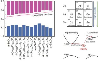 Exploring factors impacting the sensitivity of amorphous oxide semiconductors to externally induced impurities