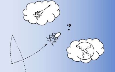 Information processing constrains how E. coli bacteria navigate chemical gradients