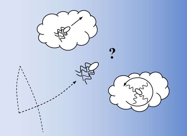 Information processing constrains how E. coli bacteria navigate chemical gradients