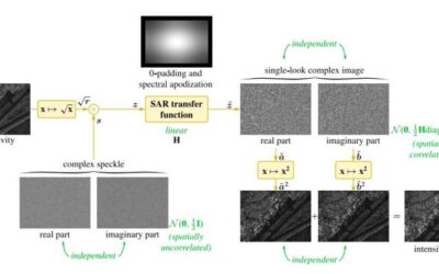 MERLIN: A self-supervised strategy to train deep despeckling networks