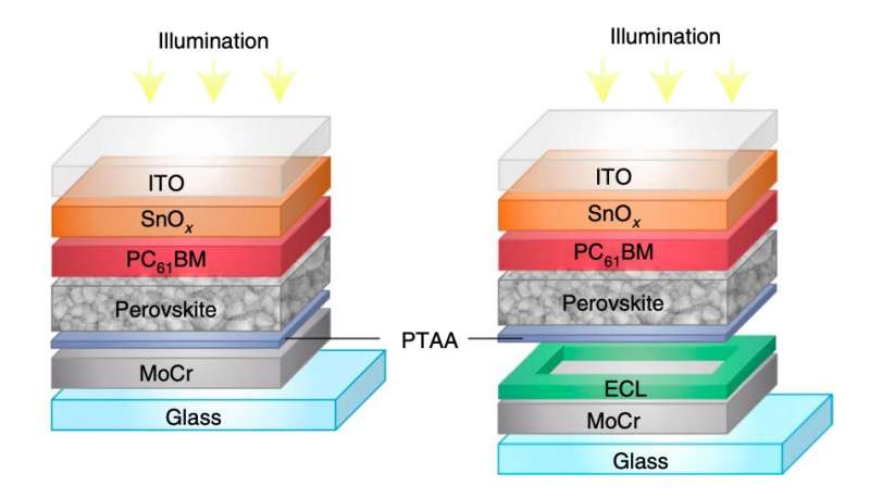 Researchers create a scanner for fingerprints and documents using metal halide perovskites