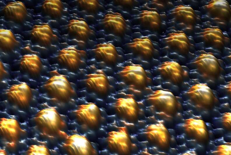 Study gathers evidence of topological superconductivity in the transition metal 4Hb-TaS2