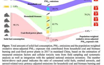 New insights about the toxicity of smoke produced by home stoves and power plants