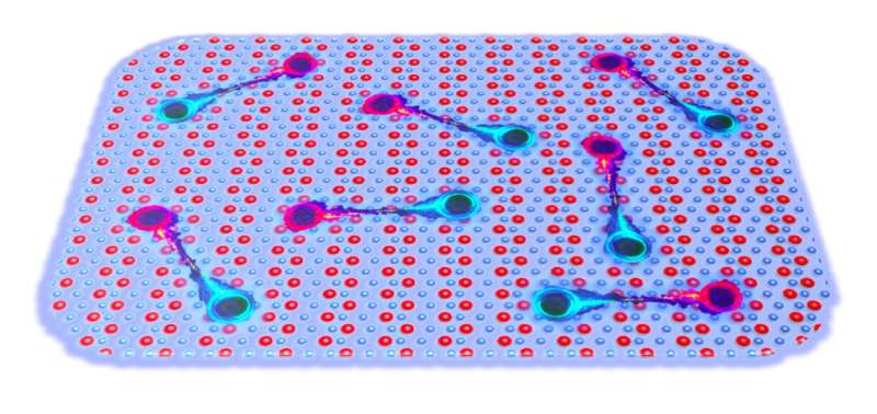 Study shows that monolayer tungsten ditelluride is an excitonic insulator