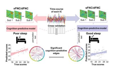 The possible effects of sleep quality on cognitive function in healthy older adults