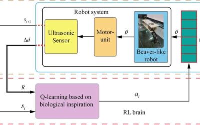 A beaver-inspired method to guide the movements of a one-legged swimming robot