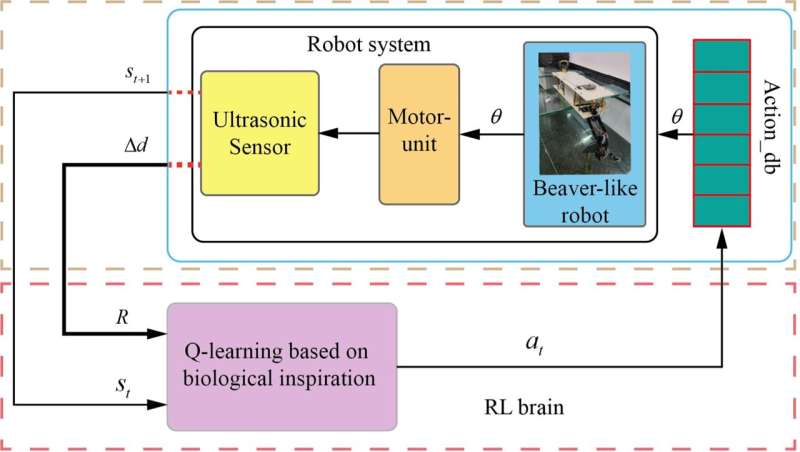 A beaver-inspired method to guide the movements of a one-legged swimming robot