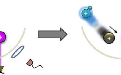 A new technique to detect collisions between single atom-ion pairs