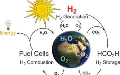 A system for the reversible hydrogenation of carbon dioxide into formic acid