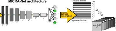 A weakly supervised machine learning model to extract features from microscopy images