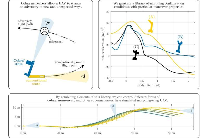 An approach to produce elaborate flying maneuvers using morphing-wing drones