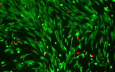 Light-driven micro-swimmers for responsive drug delivery