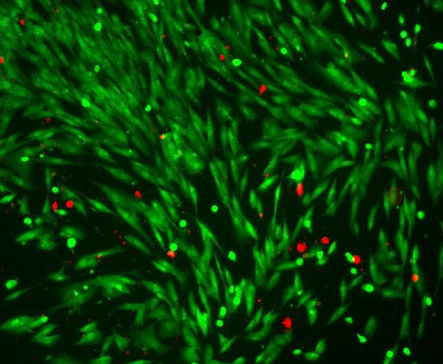 Light-driven micro-swimmers for responsive drug delivery