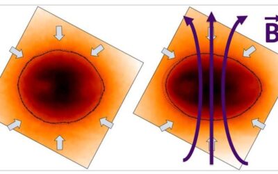 Magnetizing laser-driven inertial fusion implosions