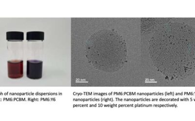 Organic semiconductor-based nanoparticles with long-lasting reactive charges