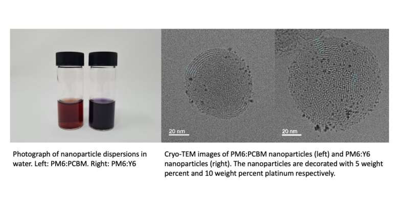 Organic semiconductor-based nanoparticles with long-lasting reactive charges