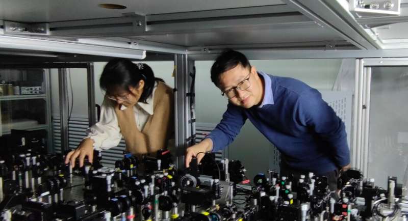 Physicists test real quantum theory in an optical quantum network