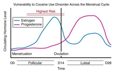 Reviewing past studies exploring the effects of steroids on cocaine-use behaviors