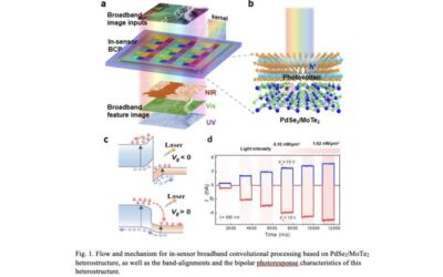 Simultaneous broadband image sensing and convolutional processing using van der Waals heterostructures