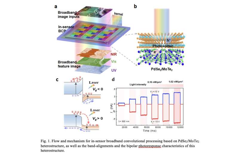 Simultaneous broadband image sensing and convolutional processing using van der Waals heterostructures
