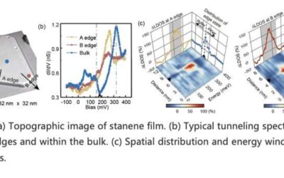 Study observes the coexistence of topological edge states and superconductivity in stanene films