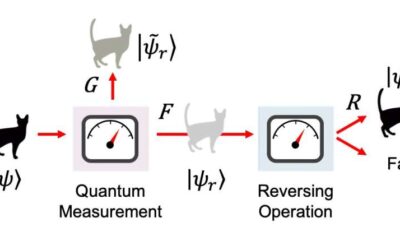 Study redefines what information is important in quantum measurements