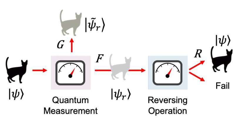Study redefines what information is important in quantum measurements