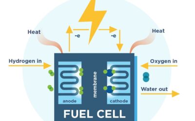 The Heart of Fuel Cells, “MEAs,” May Propel the Future of Green Energy