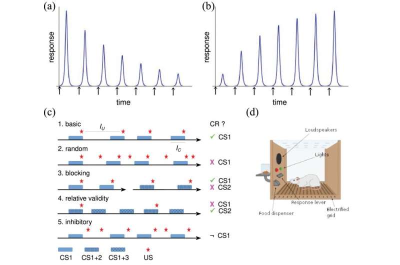 A new theory of learning integrates cognitive psychology and systems biology