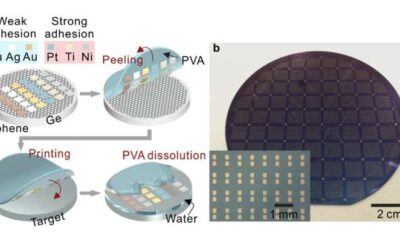 A transfer-printing technique to integrate metal electrodes and 2D materials on a wafer-scale