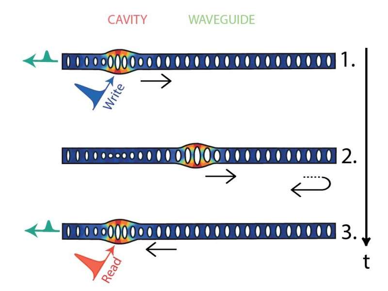 Controlling non-classical mechanical states in a phononic waveguide architecture