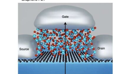 Fermi-level tuning to improve the stability of 2D graphene-based FETs