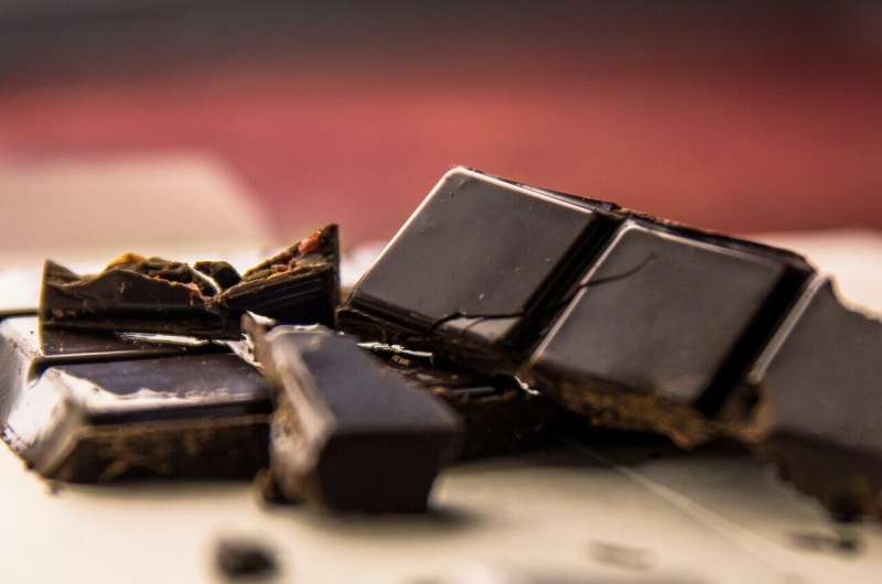 Study explores the effects of eating dark chocolate on the brain