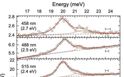 Study finds evidence of resonant Raman scattering from surface phonons of Cu(110)