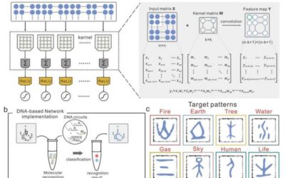 The molecular implementation of a DNA-based artificial neural network