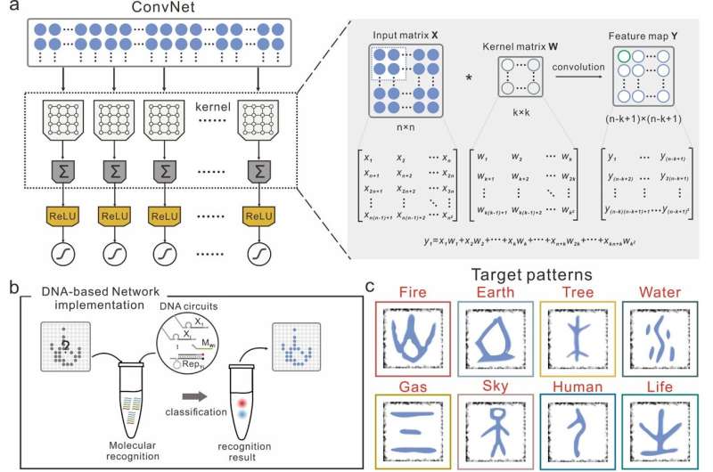 The molecular implementation of a DNA-based artificial neural network