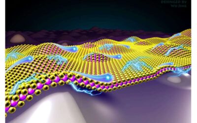 Using lattice distortions to improve carrier mobility in 2D semiconductors