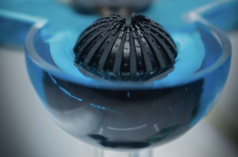 A crab-inspired artificial vision system for both terrestrial and aquatic environments