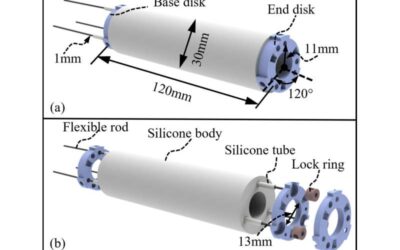 A flexible, rod-driven soft robot for biomedical applications