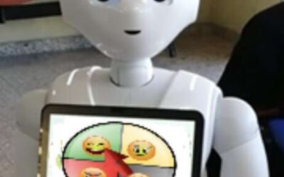 Allowing social robots to learn relations between users’ routines and their mood