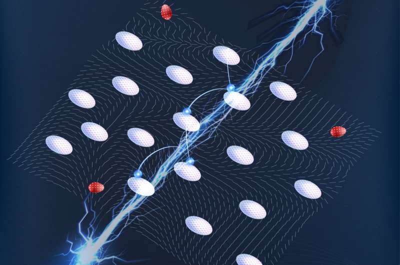 Evidence of a new type of disordered quantum Wigner Solid