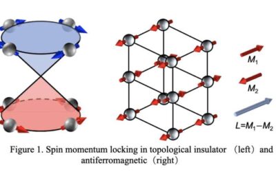 A new method to control the spin current and moment rotation in antiferromagnetic insulators