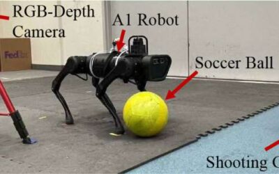 A reinforcement learning framework to improve the soccer shooting skills of quadruped robots