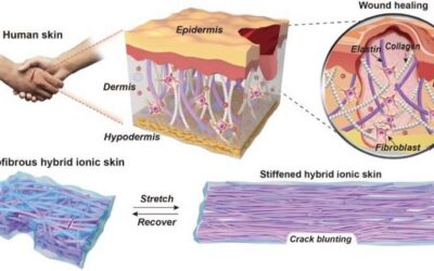 A soft, fatigue-free and self-healing artificial ionic skin