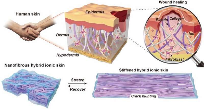 A soft, fatigue-free and self-healing artificial ionic skin