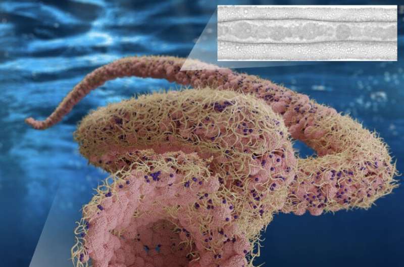 Aquabots: Ultrasoft liquid robots for biomedical and environmental applications