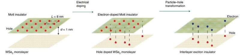 Evidence of excitonic insulators in moiré superlattices