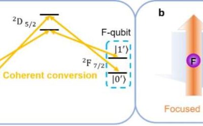 Researchers realize two coherently convertible qubit types using a single ion species